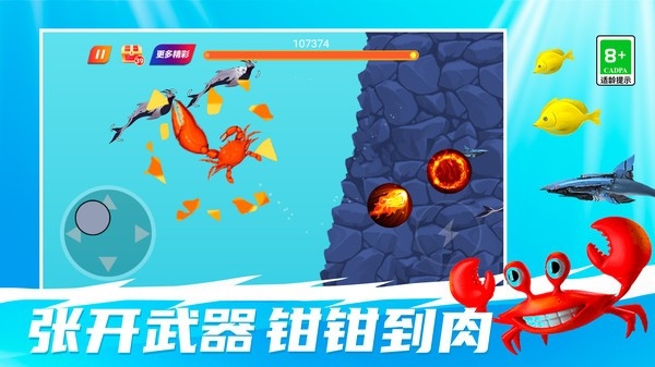 幸福水族馆